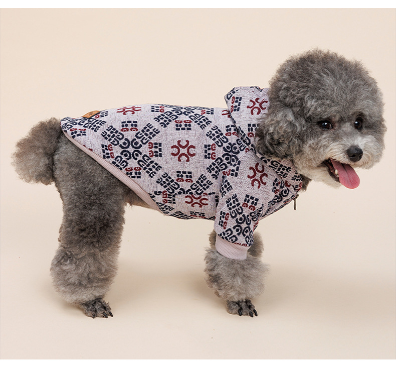 Teddy Dog Pattern Print Pet Clothes Image 3