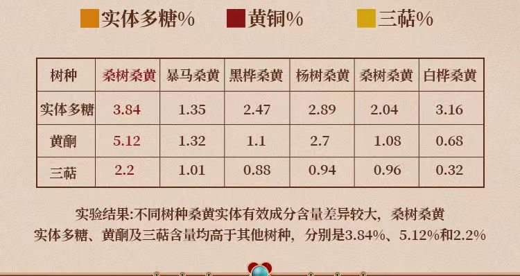 Sang Huang Mulberry Yellow Fungus Sliced 100g Bag Traditional Herbal Wellness for Middle Aged and Older Adults quality and texture