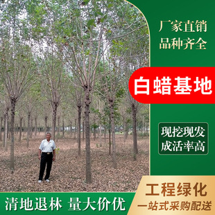 ��Ϟ����  �S��ֱ�N��2-30���ְ�Ϟ��  ���~��Ϟ ԭ��/��ñ��Ϟ