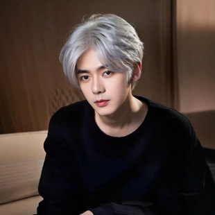 Men's Wig in Granny Gray with Middle Parting, Short Hair, Korean Style, Stylish for Everyday Use, Full Headpiece, Available for Wholesale and Dropshipping