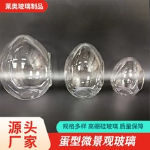 蛋型微景观玻璃生态  苔藓瓶多肉植物花瓶微景观生态瓶