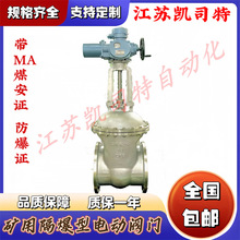 凱司特 防爆等級Exd IMB 煤礦泵房使用 MKZ941H-100C DN150