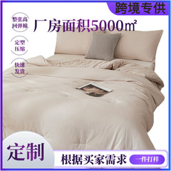 亚马逊temu跨境纯色纤维冬被四季被芯水洗磨毛被子厂家外贸批发