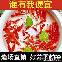 �B����B�ͻ�С�ͼt�J�׺��a�~�絭ˮ���~�~����~�w�^�p�~��ˮ