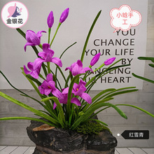 ŤŤ���m���ֹ�diy���܄�����ϰ������m���������m����1169
