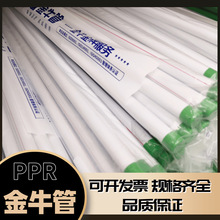 金牛ppr水管6分1寸加厚冷热自来水管20工程给水管ppr水管热熔摸头