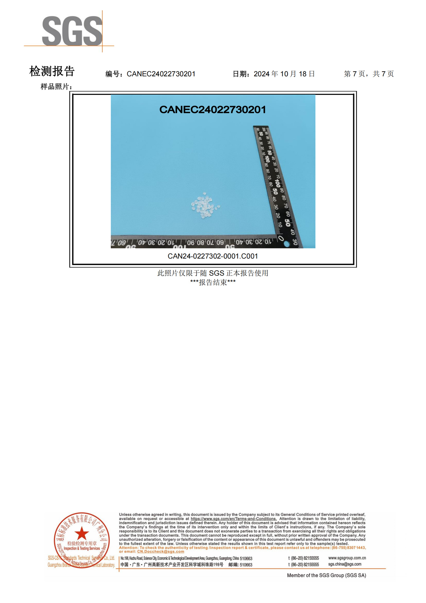 pp报告第七页.png