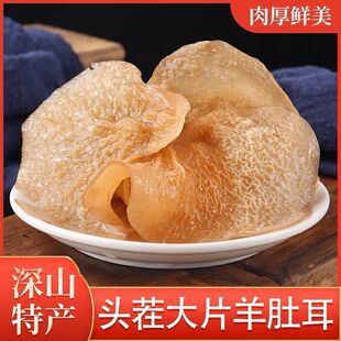 ��Ƕ�����؛��Ƭ����ɳ����Ұ�������Ƕ��Ƶ����l�͏d���|