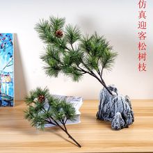 ɘ֦֦^ᘼ֦٘ɰ֦~ӭ}QbֱN