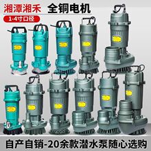 湘潭潜水泵国标380V220V清水泵农用灌溉家用大流量扬程抽水泵