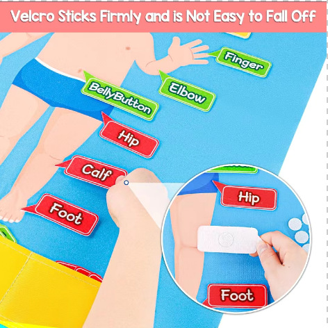 Amazonas fieltro educación temprana juguetes puzzle infantil educación temprana DIY cognitiva corporal estructural puzzle