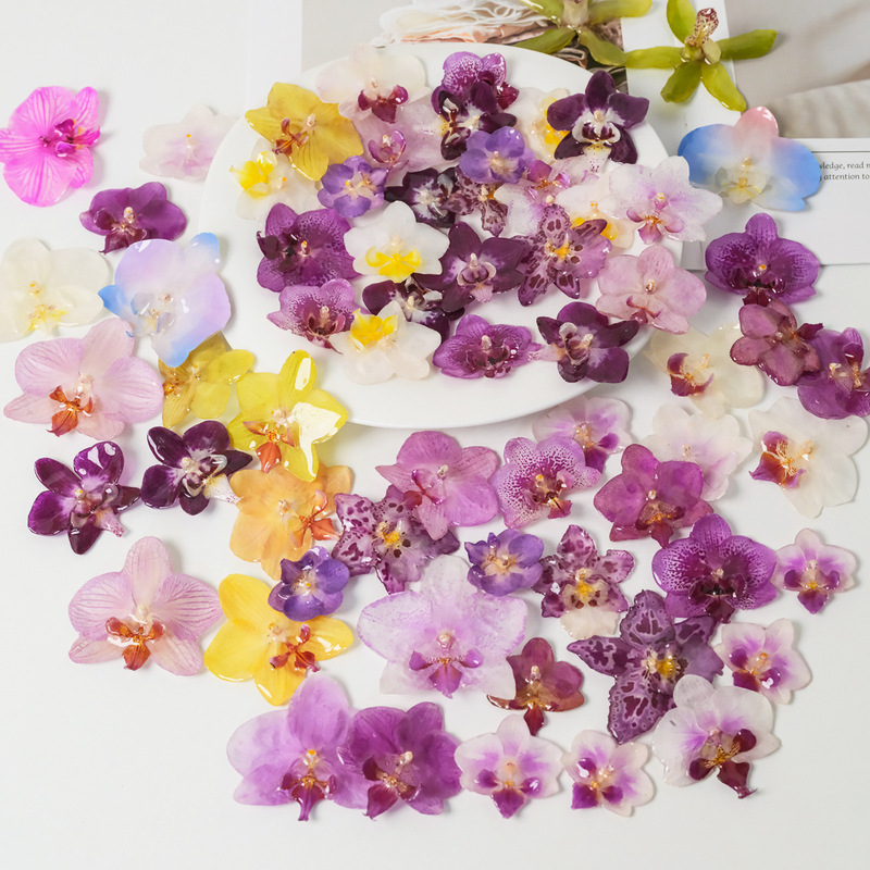 Real Flower Butterfly Orchid Glue DIY Earrings Material Butterfly Orchid Flower Head Super Fairy Style Jewelry Corsage Accessories