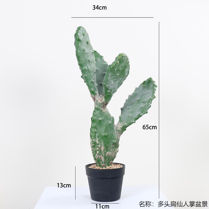 仿真龙神柱仙人掌寄生仙人球摩洛哥沙生植物造景软装样板工程装饰|undefined