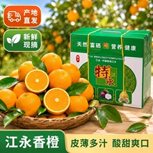夏季当季橙子大果甜橙榨汁专用整箱水果脆甜多汁批发包邮源头直发