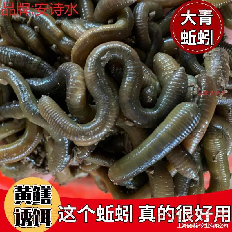 Оптовая редкостная черная земляworm живая наживка рыбалка желтая земляworms черная свежая вонючая зелёная земляworm наживка