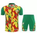 2627 senegal training suit
