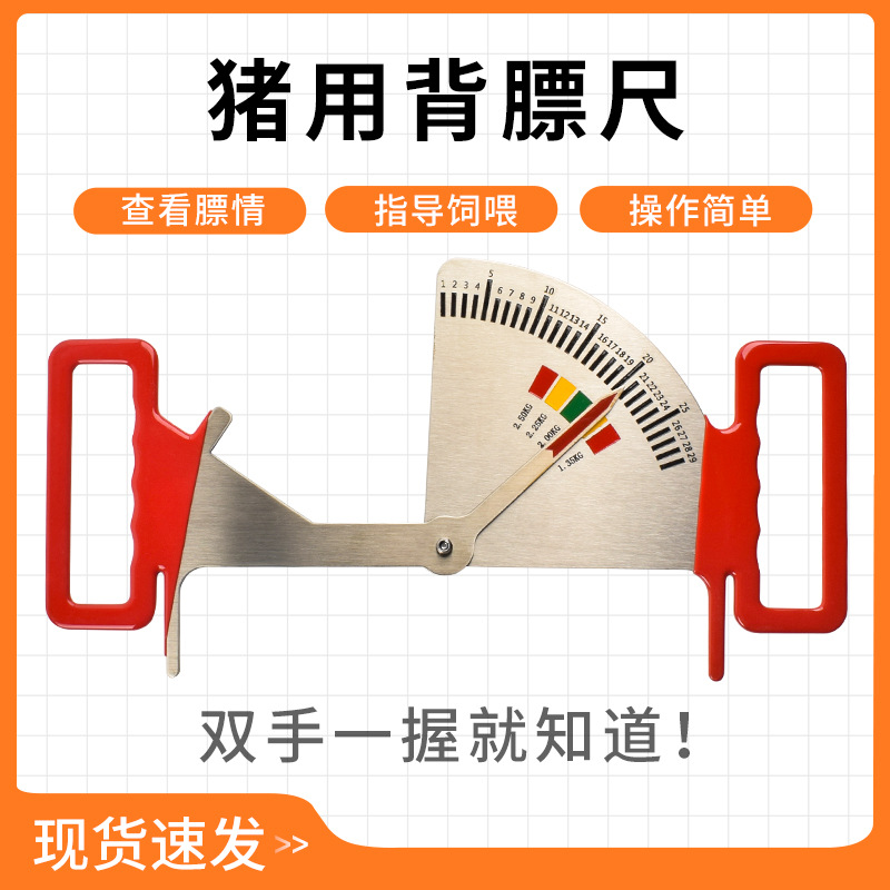 Calibrador de alimentación para cerdos, regla de gestión de alimentación de acero inoxidable, guía de medición de la condición del cerdo, regla de alimentación para cerdas embarazadas