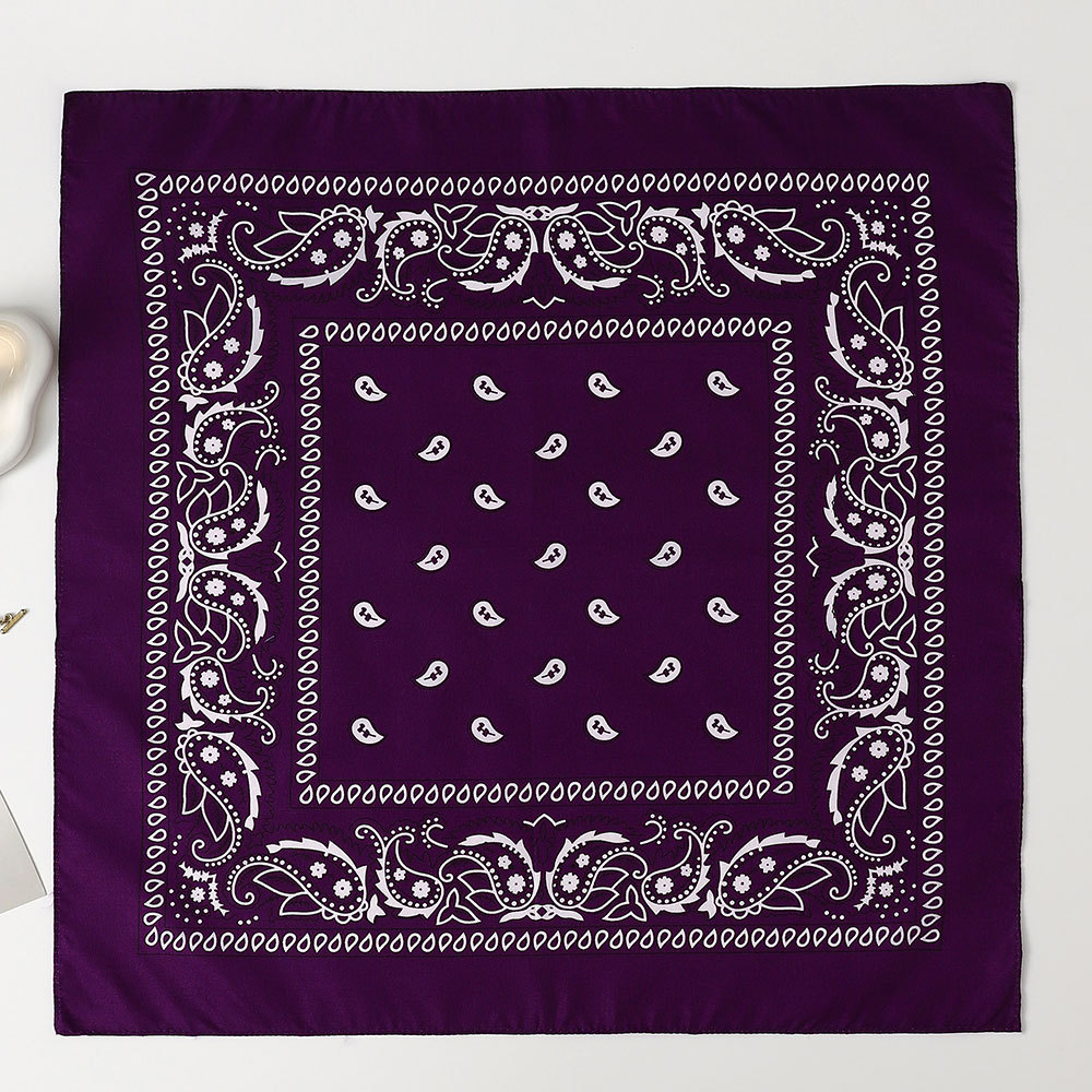 Bandana Cuadrada de Estampado Paisley 53cm de Poliéster para Deportes y Hip Hop