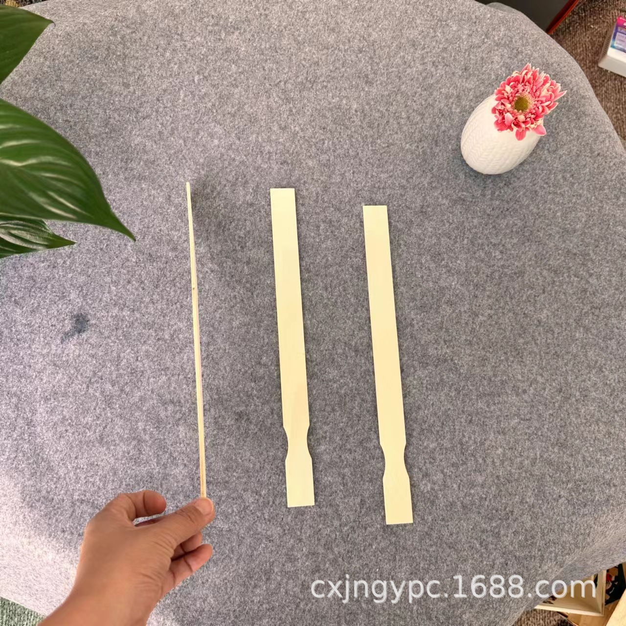 微信图片_20240606095900