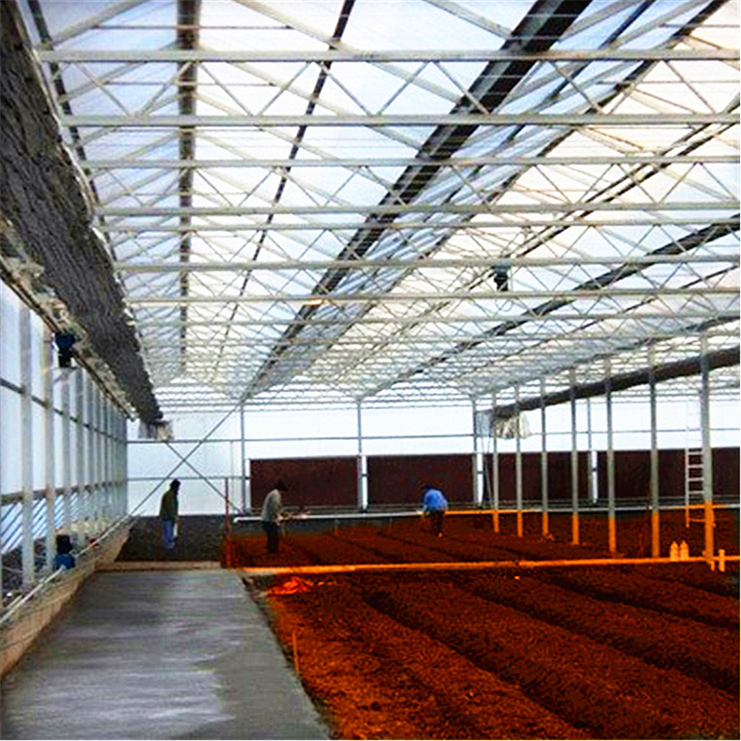 厂家制作安装智能蔬菜大棚  温室大棚  不锈钢温室棚