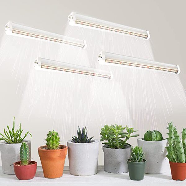 Plant lamp
