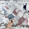 Female ship embroidery B25 powder