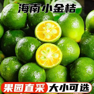 ���r����С�������С����С����̲茣�ý�ۙ����������l���]