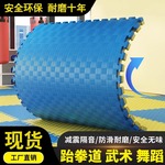 定制跆拳道地垫健身房器械减震垫子加厚武术散打1米泡沫加厚防滑