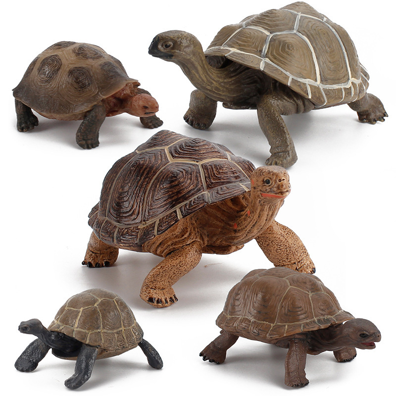Simulación tortuga sólida Galápagos elefante tortuga juguetes marino mundo tortuga modelo de animal amazona