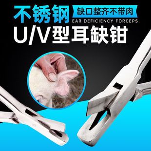 �M�ڲ��P�U�Ͷ�ȱ�QV�Ͷ�̖�Q���߶��Q���i�����Q�F�ô�����Q��