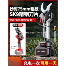 늄Ӽ������ʽ�����@�ֹ�����֦�������늼���֦늼��Ӽ�֦����