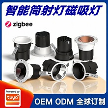 �T�f�����������Ͳ������܉��ϴ�����֙CAPP�h���b��RGB�{���{ɫ