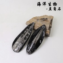 10--13����־���͹����ﻯʯֱ��ʯ��ʯԭʯ�ź������ﻯʯԭʯ��