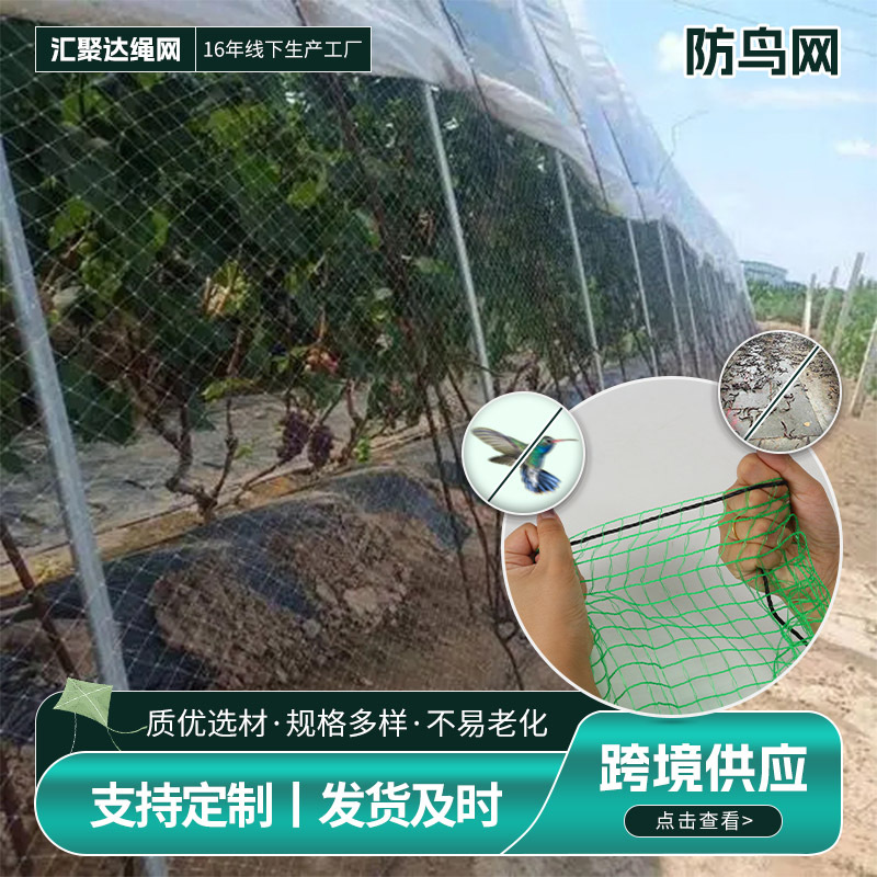 防鸟网围边护栏网尼龙防鸟专用天顶网爬藤网养殖网防雹养殖专用