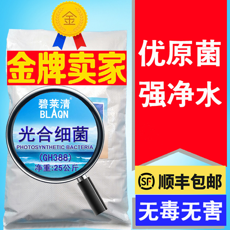 光合细菌冻干粉水产养殖净水剂碧莱清EM菌种调PH值分解残饵1公斤