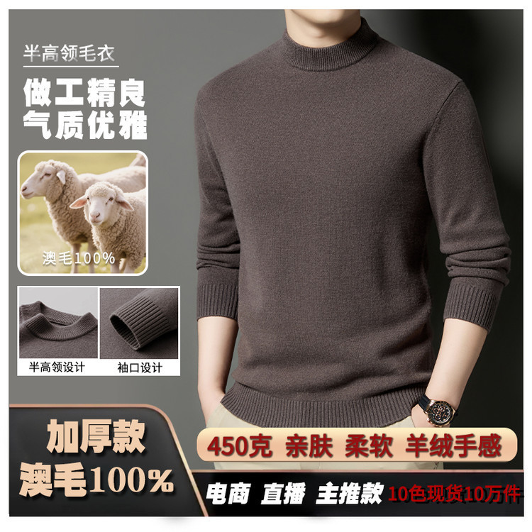 2025秋季450克加厚款进口澳纯羊毛衫男新款针织打底衫男士毛衣|undefined