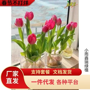 һ�����l5�w������N�����Ի��Nˮ���ذ����m�ļ��_���û����B