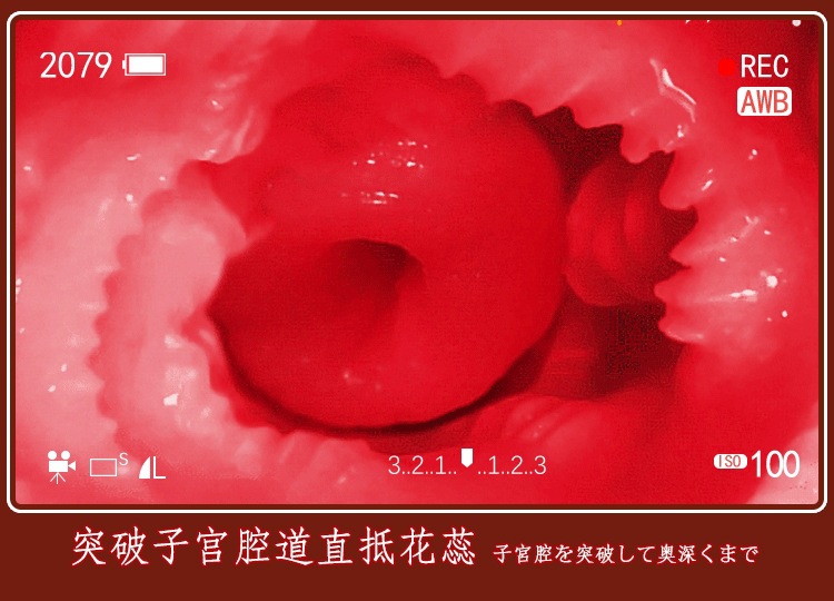 Jiuai Non-Inflatable Half-Body Male Masturbator TPE Manual Realistic Skin Tone — detail image 7