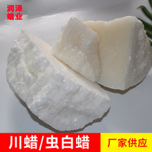 ����ș���o���x��Ϟ��Ϟ����Ƭ�����x��Ϟ�۵�ӛ̖F20240000167