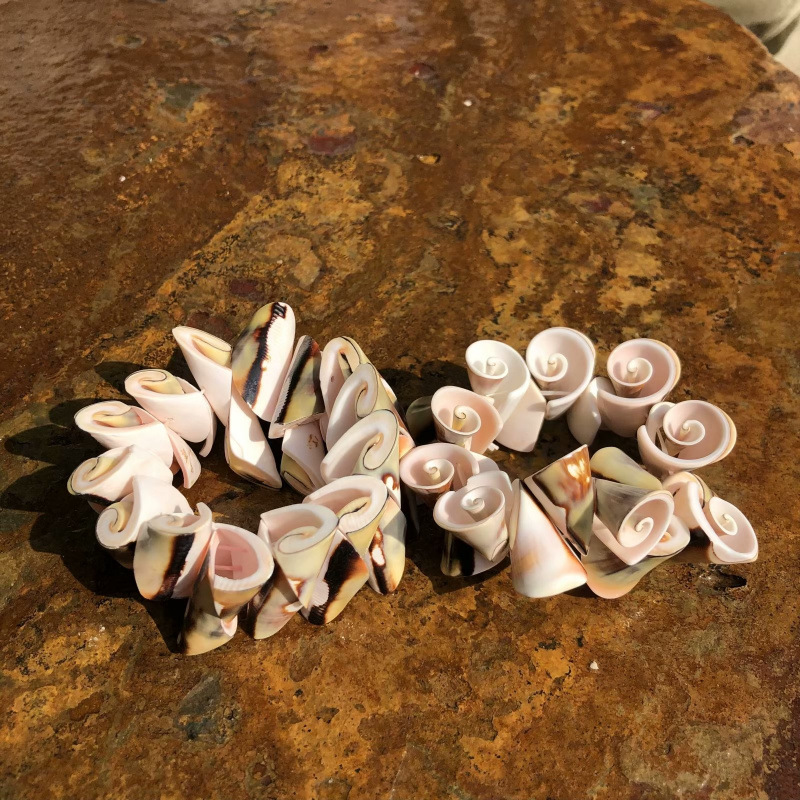 Conchas naturales conchas pulseras collares diy fresco versátil joyería correa de mano tienda artesanía característica fuente