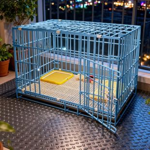 ¶�I�����������y����\���\�ӿ��ۯBС��Ȯ̩�ϼ����҃Ȏ�����