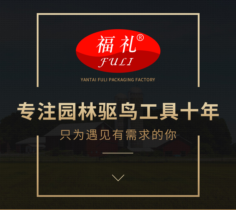 头部公共部分_01