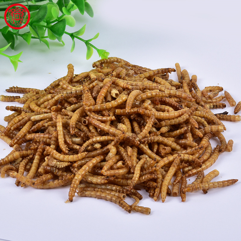 饲料级黄粉虫干虫代发面包虫干品宠物主粮小零食饲料黄粉虫高蛋白