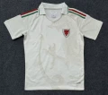 26-27 wales away game