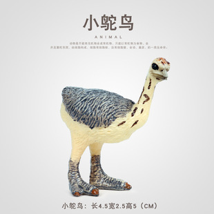 ����Ұ������ģ�ͷ���ɳĮС�r�B���B�����B��ȿɐ�����[��