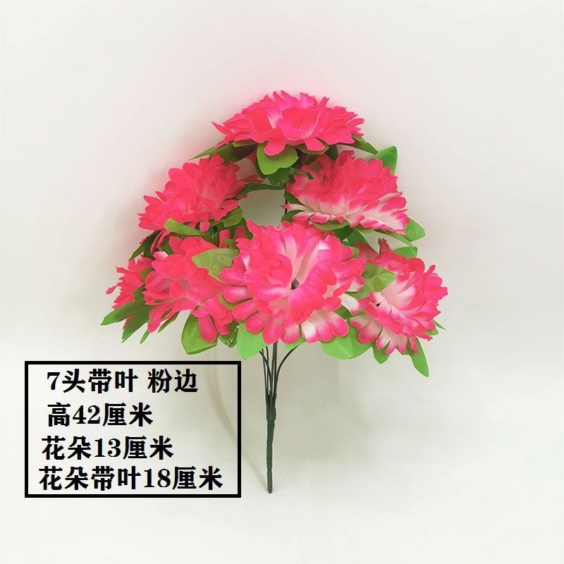 7-headed chrysanthemums with leaves (pink edge) 1-1 branch (excluding flower pot), the best quality choice
