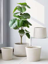 ���W���s ����䓻����ֲ�������bҾӿ͏dֲ�����^