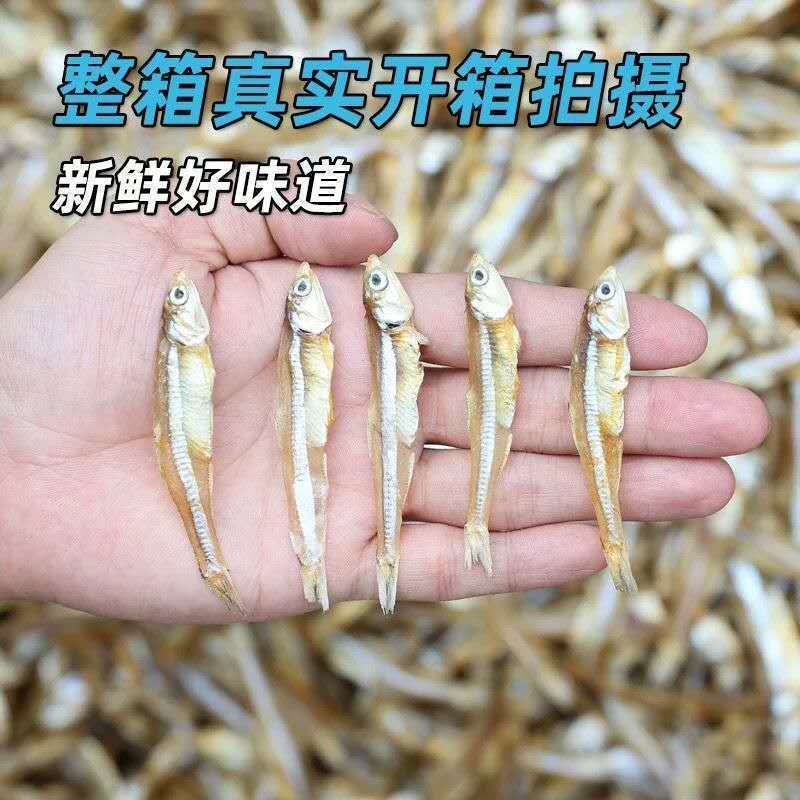 小鱼仔公干鱼干淡干新货海燕鱼干货特产银鱼干丁香鱼咸鱼干批发无|undefined