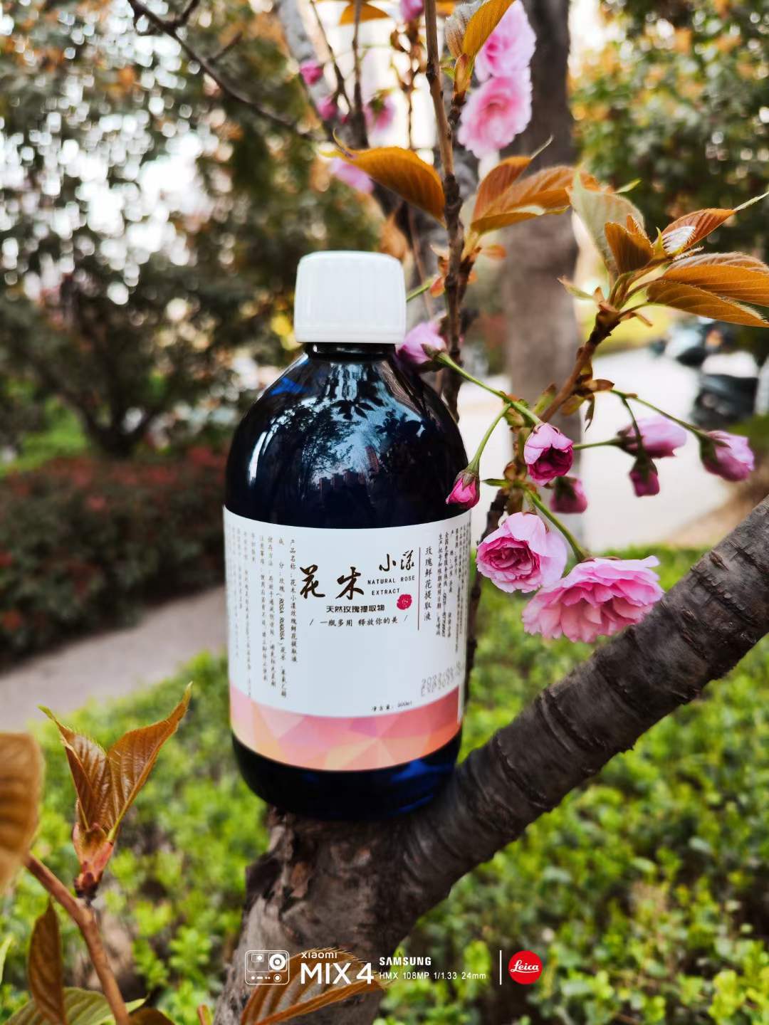 微信图片_20230329081235