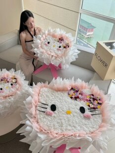 520���˹��Y��������Hellokitty�P��؈KT������Ů�������|�۸��